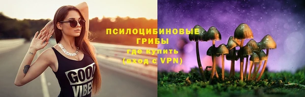 прущая мука Арсеньев