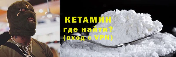 стаф Аркадак