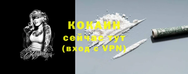 индика Балабаново