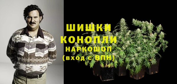 стаф Аркадак