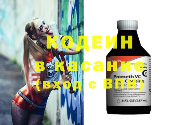 индика Балабаново