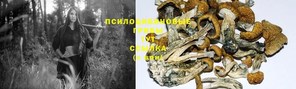 mdpv Баксан