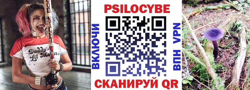 сколько стоит  Жигулёвск  Псилоцибиновые грибы Psilocybine cubensis 