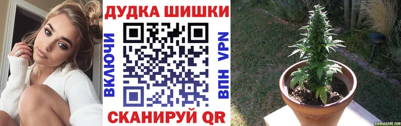 Бошки марихуана Bruce Banner  это телеграм  Жигулёвск  блэк спрут ссылка 